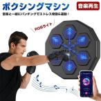 音楽ボクシングマシン スマートディスプレイ搭載 子供 大人兼用 壁掛け式 パンチングバッグ トレーニング機器 リズムゲーム フィットネス