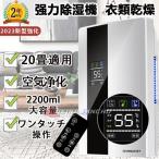 除湿機 コンプレッサー 衣類乾燥 静音 コンパクト ハイブリッド式 除湿空気清浄機 小型 湿気フィルター 節電 軽量 除菌 消臭 乾く 梅雨 省エネ 部屋干し 日本語