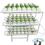 水耕栽培キット 水耕栽培 植物 野菜用具 植物育成 家庭菜園 室内 ベランダ 水耕栽培セット (108穴)