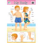 子ども用英語ポスター：MY BODY (WALL CHARTS) 740×495mm