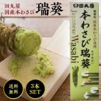 田丸屋 国産 本わさび 瑞葵 42g 3本セット 無着色 チューブ ワサビ 山葵 わさび wasabi 静岡 無着色 刺身 醤油 ねりわさび 練りわさび たまるや 万能 調味料