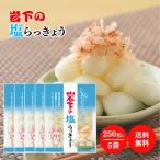  скала внизу еда скала внизу. соль rakkyou 90g 5 пакет комплект rakkyou соль тест . собственный производства закон способ тест еда чувство закуска кнопка, ручка настройки rakkyou .. ежедневное блюдо уксус .. солености tsukemono .. .. .. обычная температура сохранение 