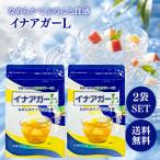 伊那食品 イナアガーL 500g 2袋 セット かんてんぱぱ ゼリー 素 粉末 植物性 寒天 低カロリー 常温 無味無臭 おやつ デザート お菓子 長期保存 国内 製造