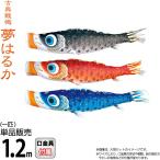  koinobori Tokunaga обыкновенный карп коинобори одиночный товар 1.2m сон. .. водоотталкивающая отделка полиэстер дыня a прозрачный zen ткань 001-640-s