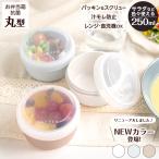 弁当箱 ランタス STR-250 アスベル ASVEL LUNTUS おかず入れ 女子 女性 おしゃれ レンジ対応 食洗器対応 汁モレ防止 お弁当箱 ランチボックス  ギフト