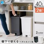 ゴミ箱 おしゃれ 分別 キッチン 40リ