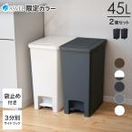 ゴミ箱 おしゃれ キッチン 45リットル 2個セット 【限定カラー】 ペダル スリム アスベル ダストボックス 分別 45l 45L 大容量 蓋付き 資源ゴミ ごみ箱