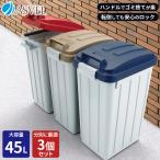 ゴミ箱 おしゃれ 屋外 分別 ハンドルペール 45リットル ３個セット アスベル ダストボックス 大容量 45l 45L 蓋付き カラス対策 ベランダ 資源ゴミ ごみ箱