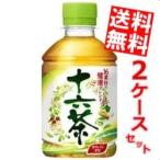 送料無料 アサヒ 十六�