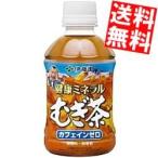 送料無料 伊藤園 健康�