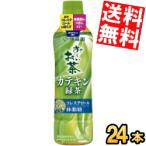 お茶 ペットボトル 500ml 送料無料-商品画像