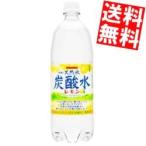 送料無料 1Lサイズ サ