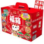 586円お得！【企画品】凄麺 福箱ご当地ラーメン東日本編(6食入)【ニュータッチ】