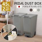 ゴミ箱 ダストボックス ペダル式 45L 同色 2個 セット 日本製 スライド ふた キャスター 分別 スリム ごみ箱 キッチン 収納 北欧 シンプル おしゃれ 爆買