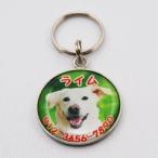  идентификационная бирка домашнее животное. фотография . произведение . идентификационная бирка контактный адрес L размер диаметр 25mm серебряный собака кошка товары для домашних животных название .ID бирка персональный медальон именная бирка собака для 