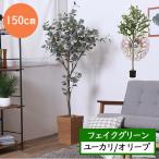  искусственная зелень [ 150cm ] декоративное растение интерьер человеческий труд декоративное растение искусственный цветок человеческий труд поддельный вода. нет Cafe офис . магазин Event модный украшение зеленый дерево лист ..