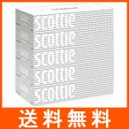 ティッシュペーパー 200組 5箱パック スコッティ ティシュー 1セット 日本製紙 クレシア