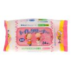 ペーパーテック ミントの香りの トイレクリーナー 24枚入