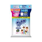 アース製薬 サラテクト 虫よけシート 無臭タイプ BIGサイズシート 20枚入