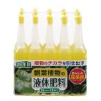 紀陽除虫菊 液体肥料 観葉植物用 35ml × 10本入