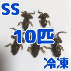 【給餌ガイド付き】拒食対策用 国産 冷凍カエル SSサイズ 10匹 胴長1.5~2cm 餌用 ヌマガエル エサ えさ用 蛙 急速冷凍 ヘビの餌 CB 幼蛇用 シマヘビ 給餌