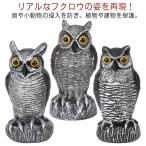 fu. сад меры птица . меры товары птица .. товары птица избежать товары mkdoli веранда сова. голубь .. товары - to птица птица избежать голубь меры сова 