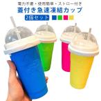 【2個セット】 かき氷機 アイスクリームメーカー 電気不要 手動 保冷 フローズン器 シャーベット カップ 蓋 スブーン ストロー付き スラッシュシェ