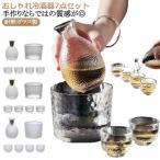 酒器セット 耐熱ガラス製 熱燗 冷酒