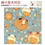  уголок уборка кошка для кусачки для ногтей груминг кошка груминг LAP кошка сумка кошка для LAP домашнее животное многофункциональный кусание есть предотвращение кусачки для ногтей .... предотвращение чистка зубов переустановка кошка g