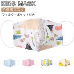 ショッピング夏用マスク フィルターポケット付き キッズマスク 秋マスク 子供用 マスク 洗える マスク 子供マスク 春秋用 夏用 マスク 秋用 マスク 立体 マスク 布マスク