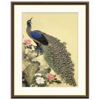 額絵 牡丹孔雀図 円山応挙 42x34cm 三幸