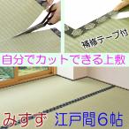 い草上敷き 自分でフリーカットできる 江戸間6帖 みすず 撥水加工 イ草 双目織 261×352cm
