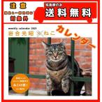 岩合光昭×ねこ カレンダー2021 (週めくり・卓上/壁掛け・リング)