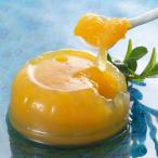 JAあしきた デコポンゼリー (130g×12個入)