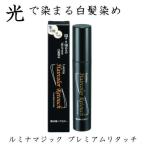 ルミナ ヘアカラー リタッチ 20g 部分用ヘアカラー 光で染める 白髪染め ヘアクリーム スティックタイプ 地肌に優しい 白髪染めクリーム 自宅 自分で 簡単