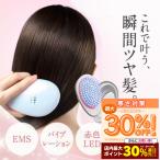  head spa кожа головы массажер head массаж кожа головы массаж head массажер электрический щетка scalp щетка WAVEWAVE EMS Brush Air mini e25