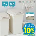 ゴミ箱 分別 ごみ箱 ダストボックス 蓋付きゴミ箱 分別ゴミ箱 蓋付き キッチン ゴミ箱 ごみ 袋が見えない 臭わない オムツ ワンハンドパッキンペール RSD-71 47l