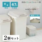 ゴミ箱 2個セット 分別 ごみ箱 ダストボックス 蓋付きゴミ箱 分別ゴミ箱 蓋付き キッチン ゴミ箱 ごみ 袋が見えない ワンハンドパッキンペール RSD-71 47l