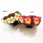 ココナツボウル〈リーフ&プ...