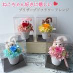  кошка консервированный цветок организовать .. керамика основа ввод цветок организовать подарок подарок симпатичный подарок k задний бардачок ввод 