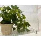 型板ガラス 100SW 約30cm×約20cm