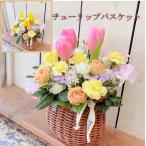 チューリップバスケット春の足音ピンクORイエロー　誕生日　記念日　春のお祝い　花　アレンジフラワー