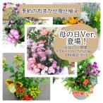 母の日おまかせ寄せ植え5月5日〜8日期間届け