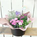 母の日季節のおまかせ花寄せ鉢バスケットM5月8日〜11日の期間お届け