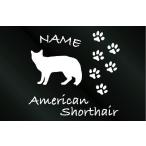  имя ввод кошка кошка стикер american Short волосы C модель 