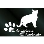  немного довольно большой. кошка кошка стикер american Short волосы B модель 