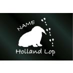  имя ввод .... стикер сигнал Ran Drop A модель 