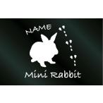  имя ввод .... стикер Mini заяц C модель 