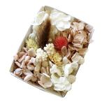  гербарий материалы для цветочной композиции vanilla шифон whip материалы для цветочной композиции комплект 1 кейс консервированный цветок сухой цветок 