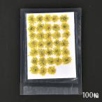  засушенный цветок resin для сухой цветок гонки цветок 1 сиденье примерно 100 колесо [ желтый ]